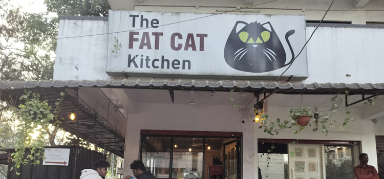 The Fat Cat Kitchen - Yapral