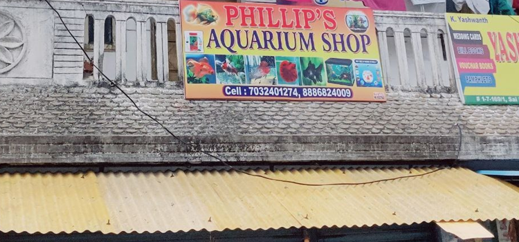  Phillip