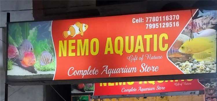Nemo Aquatic - Dammaiguda