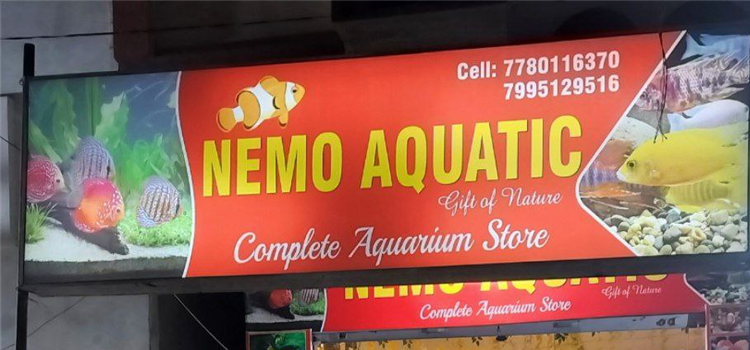 Nemo Aquatic,  Dammaiguda