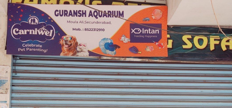 Guransh Aquarium, Moula Ali